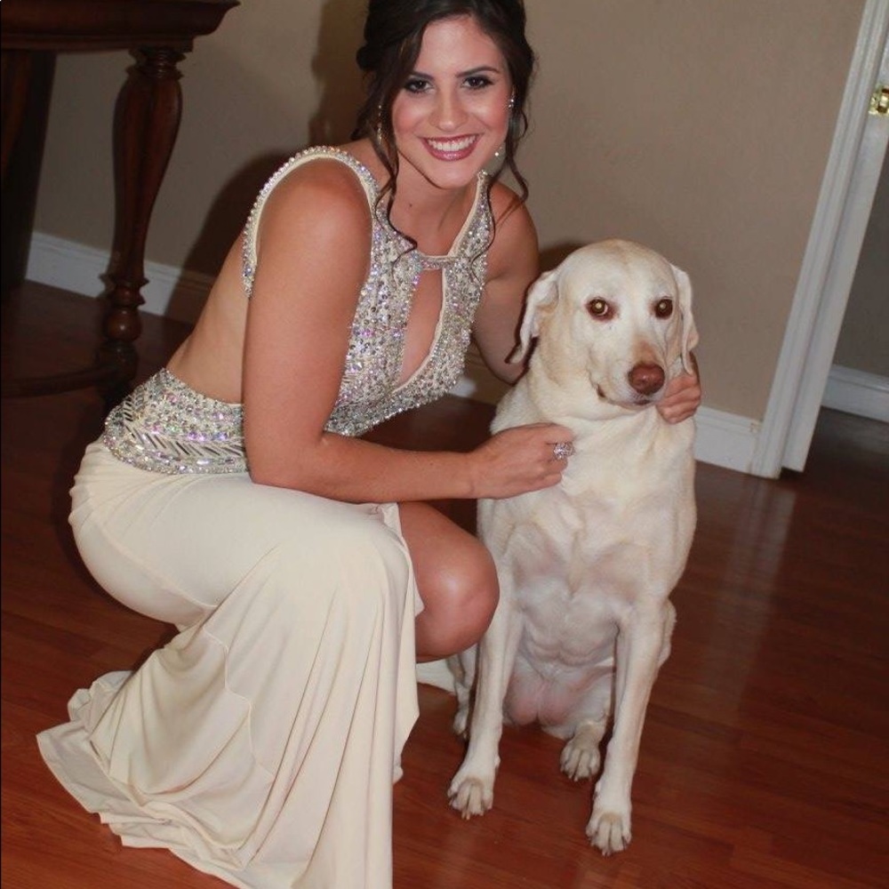Prom/Formal dress